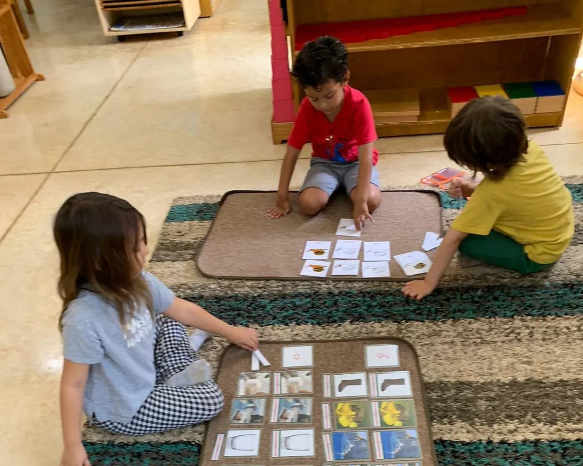 Tres niños trabajando con tarjetas de clasificación sobre tapetes